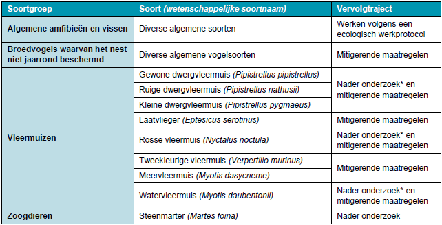 afbeelding "i_NL.IMRO.0613.TAMSchutskooiwijk-VST1_0016.png"