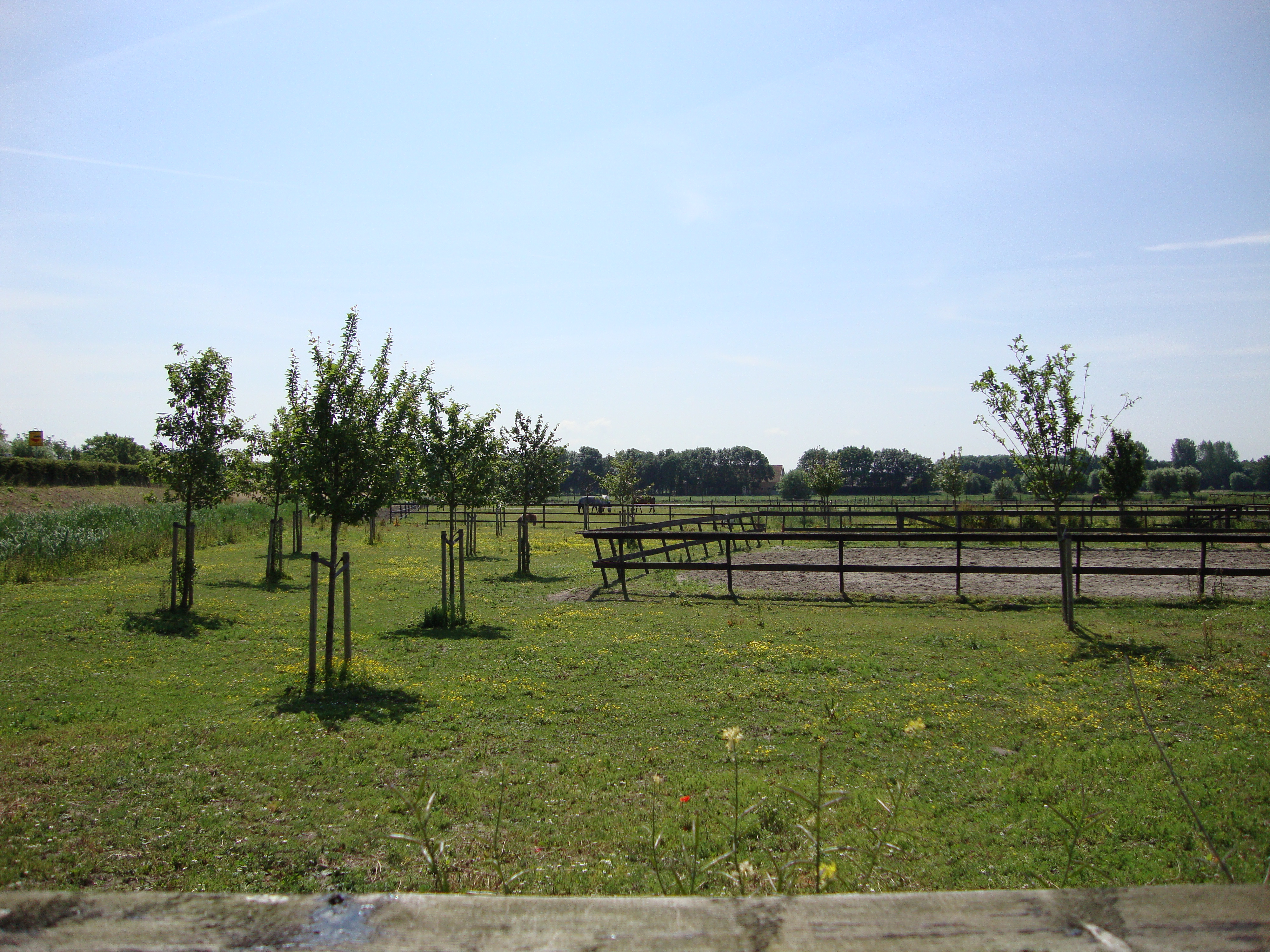 afbeelding "i_NL.IMRO.0614.bpKortedijkje8-0100_0005.jpg"