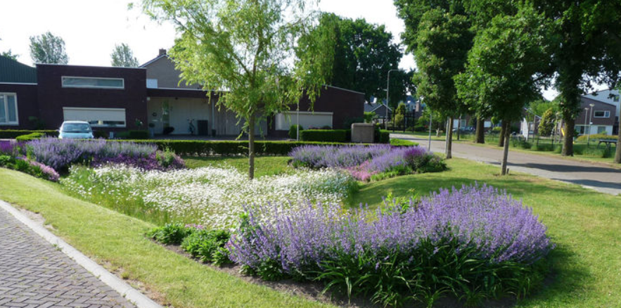 afbeelding "i_NL.IMRO.0668.DREVluchtheuv1b-BOH1_0008.png"