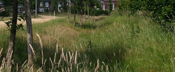 afbeelding "i_NL.IMRO.0668.WAMKoningsstraaton-BOH1_0008.png"