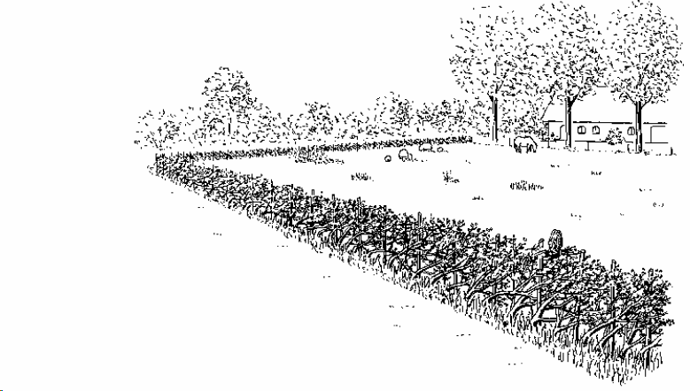 afbeelding "i_NL.IMRO.0715.BPBG16-VG01_0014.png"