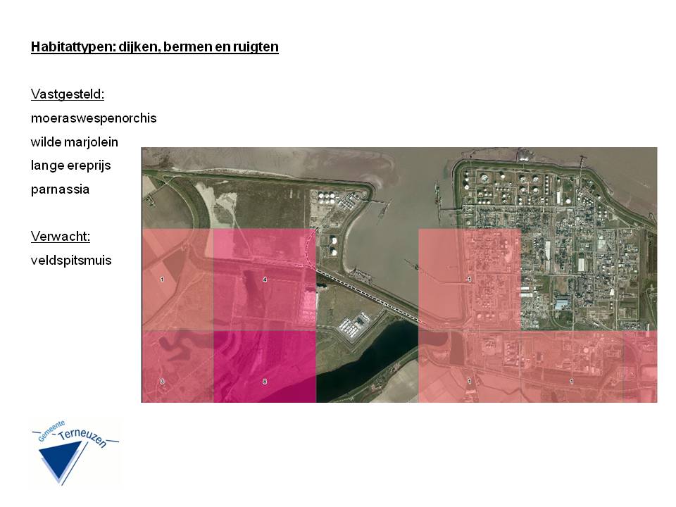 afbeelding "i_NL.IMRO.0715.BVIDM-VG99_0011.jpg"