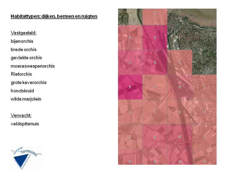 afbeelding "i_NL.IMRO.0715.BVOKO-VG99_0011.jpg"