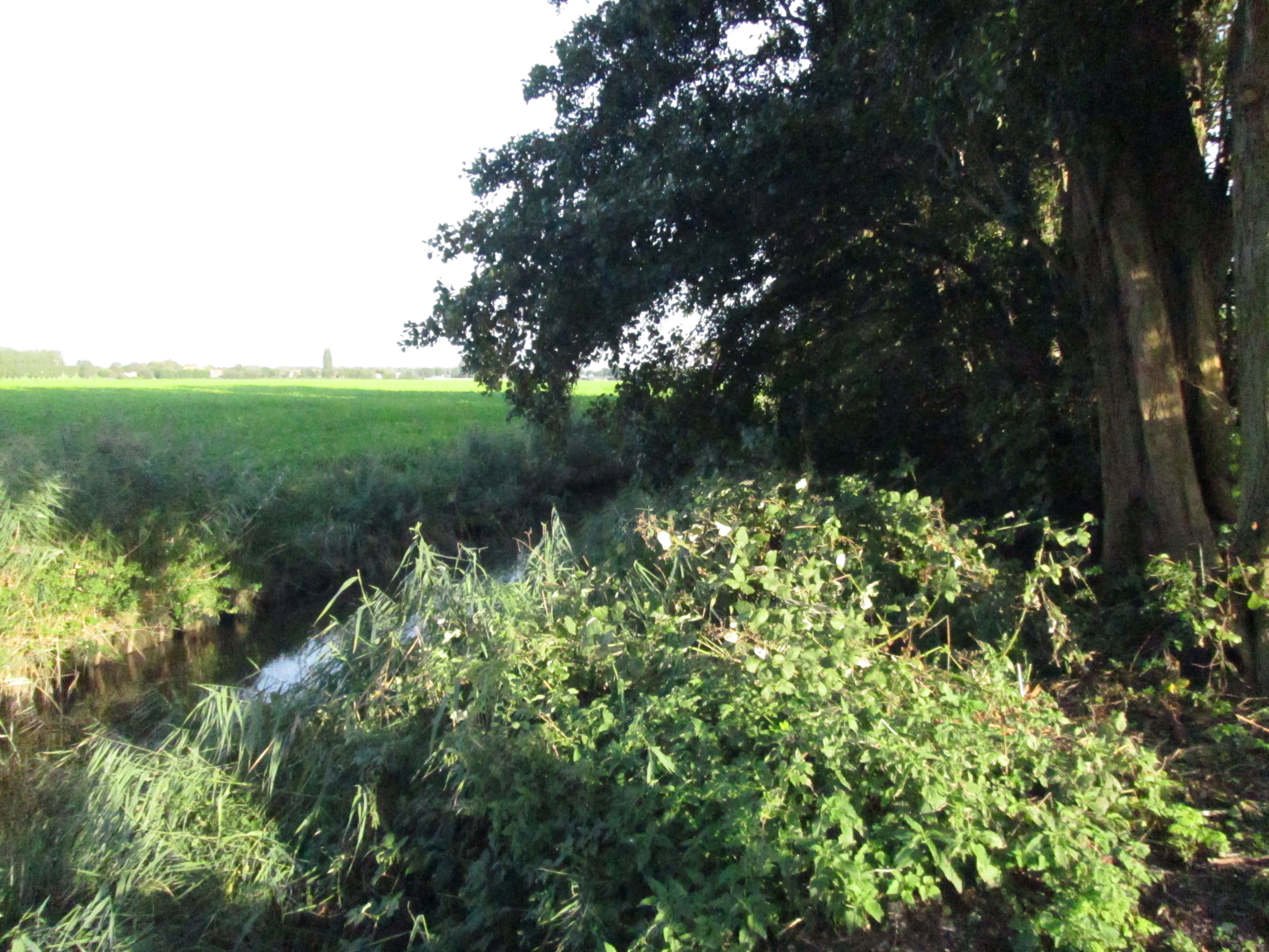 afbeelding "i_NL.IMRO.0716.bpBuitengeb2015OVS-VG01_0007.jpg"