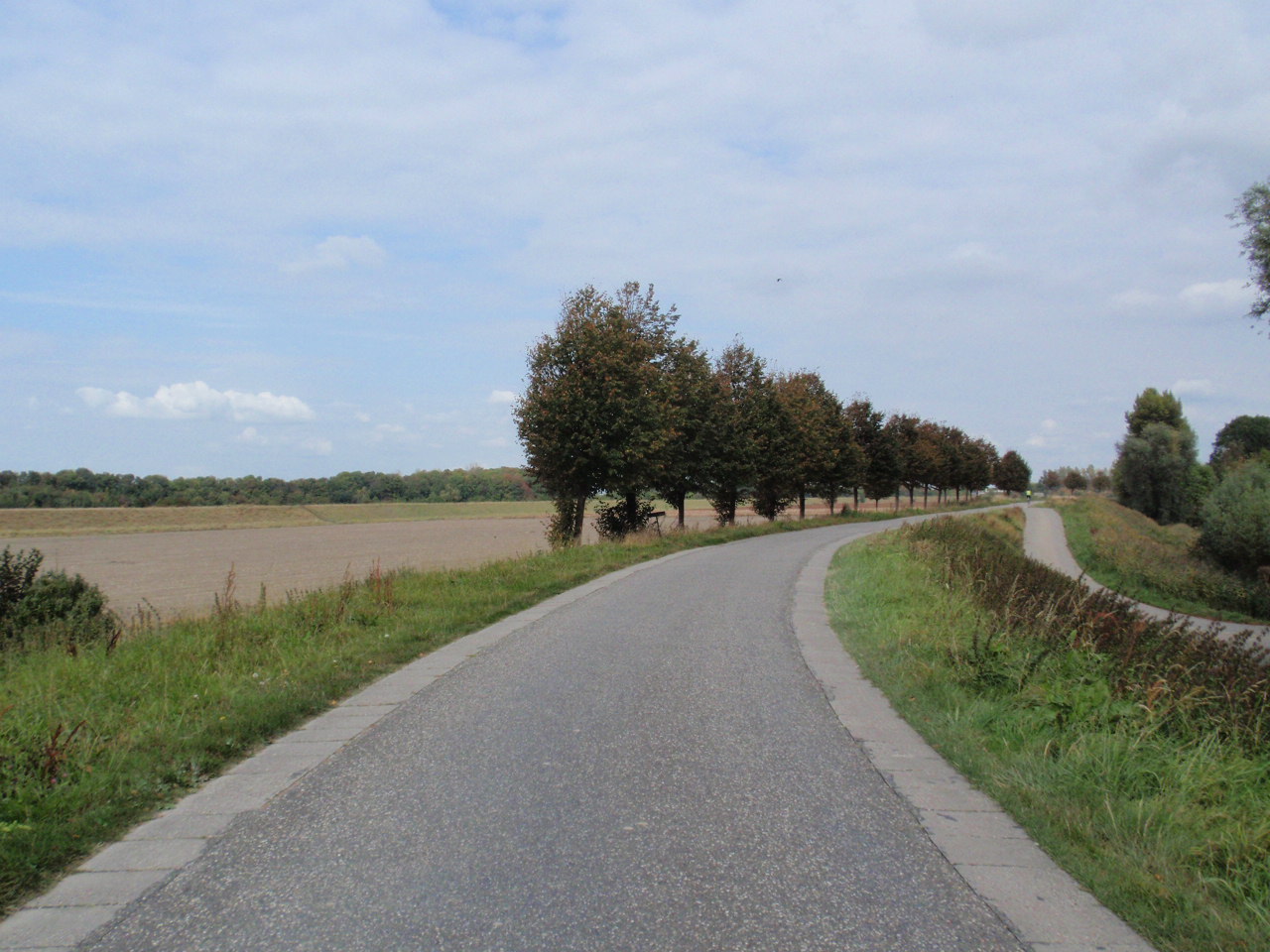 afbeelding "i_NL.IMRO.0716.bpDePluimpot-VG99_0003.jpg"