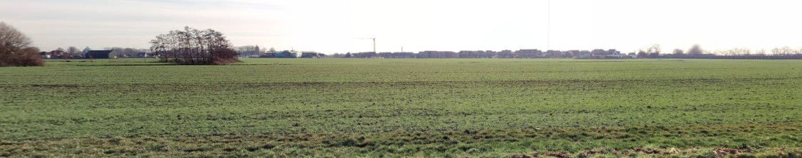 verplicht