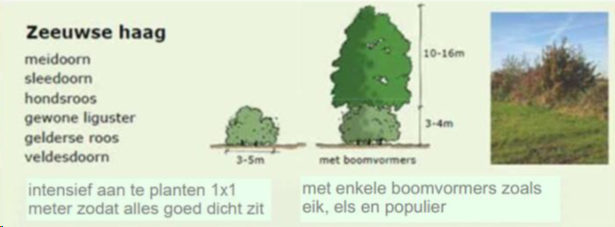 afbeelding "i_NL.IMRO.0717.0199OVLepstr24Vro-VG01_0019.png"
