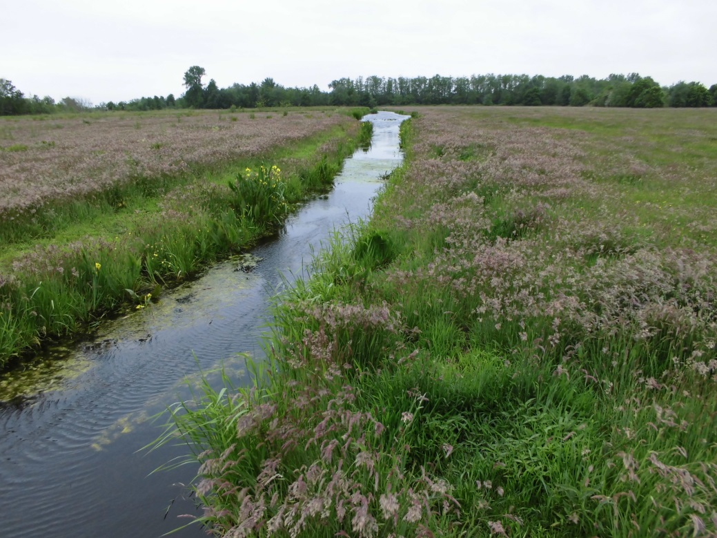 afbeelding "i_NL.IMRO.0736.BPP015bijbotshol-va01_0013.jpg"