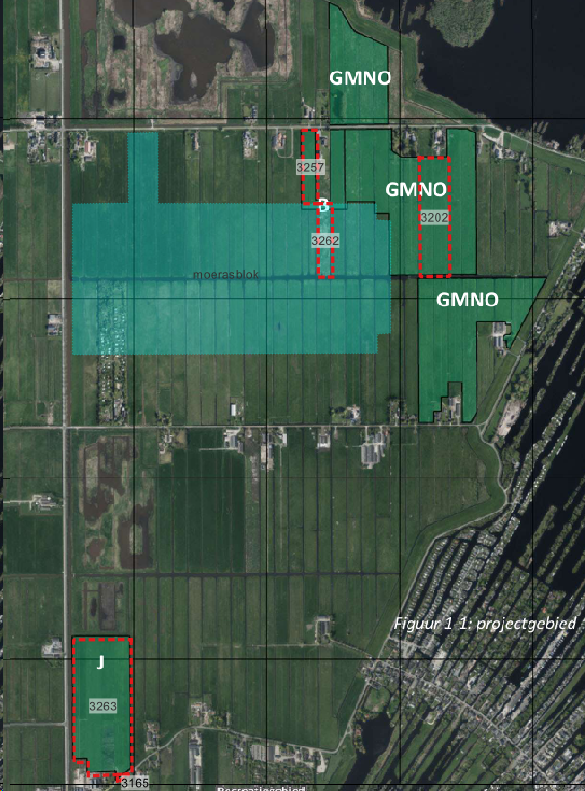 afbeelding "i_NL.IMRO.0736.TAM001GMNOgrasland-va01_0005.png"