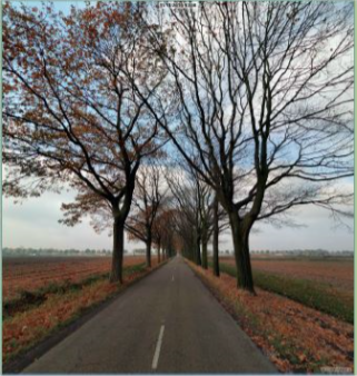 afbeelding "i_NL.IMRO.0762.BP201611-C002_0019.png"