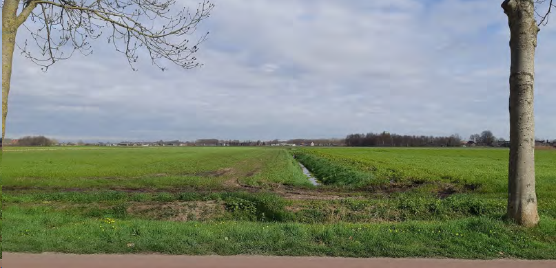 verplicht