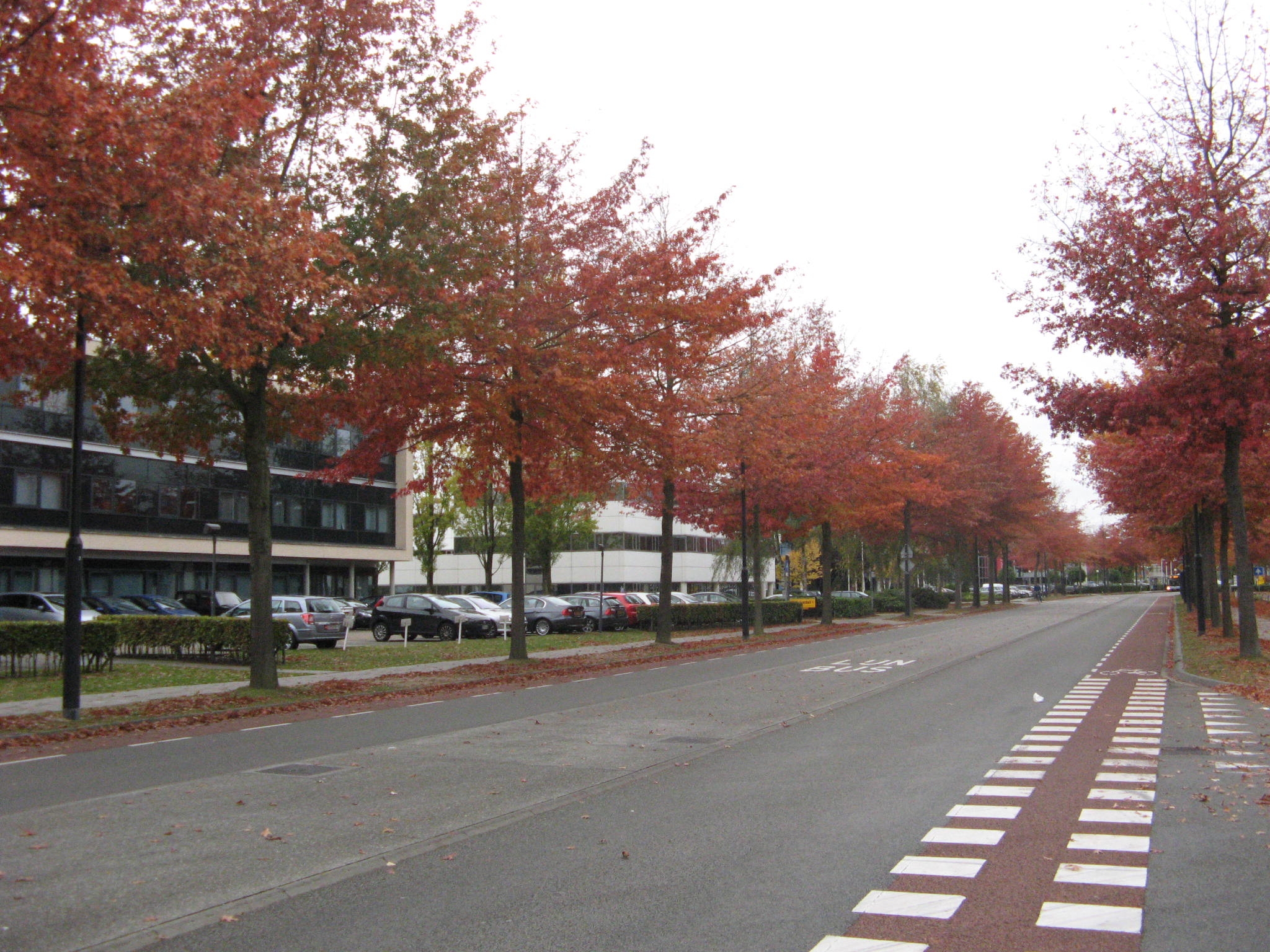 afbeelding "i_NL.IMRO.0772.80003-0301_0003.jpg"