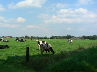 afbeelding "i_NL.IMRO.0784.BPRvRHulten-OH01_0006.png"