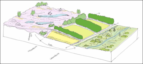 afbeelding "i_NL.IMRO.0785.BP2019004Fokmast-vg02_0017.png"