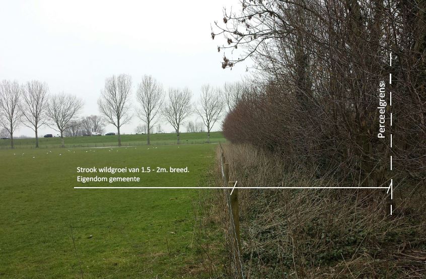 afbeelding "i_NL.IMRO.0796.0002274-1401_0010.jpg"