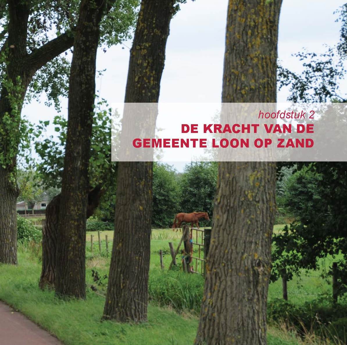 afbeelding "i_NL.IMRO.0809.StructuurvisieWijz-ON01_0004.jpg"