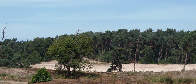 afbeelding "i_NL.IMRO.0809.StructuurvisieWijz-ON01_0006.jpg"