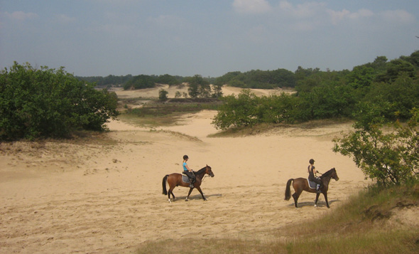 afbeelding "i_NL.IMRO.0809.StructuurvisieWijz-ON01_0015.jpg"