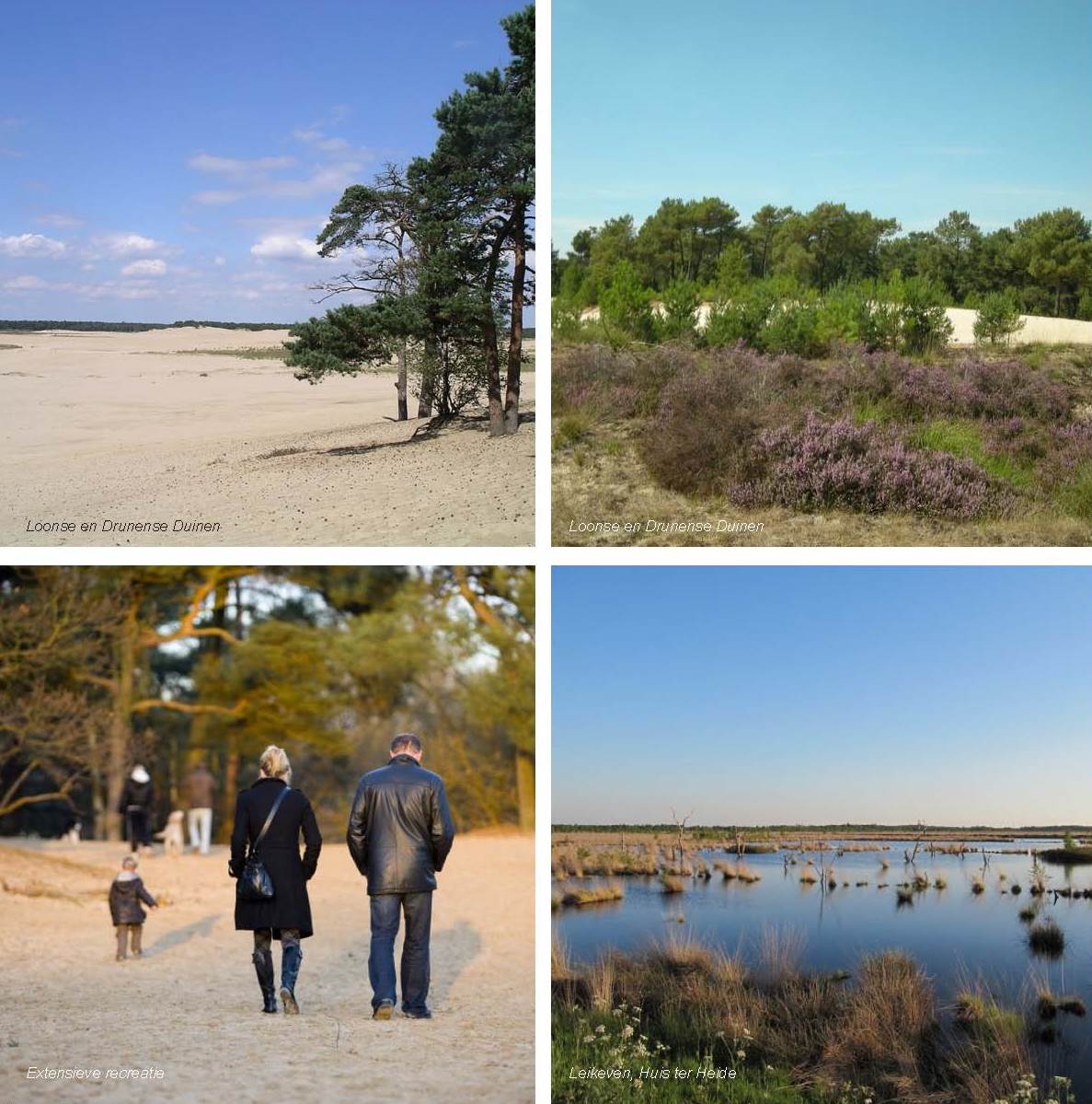 afbeelding "i_NL.IMRO.0809.StructuurvisieWijz-ON01_0029.jpg"