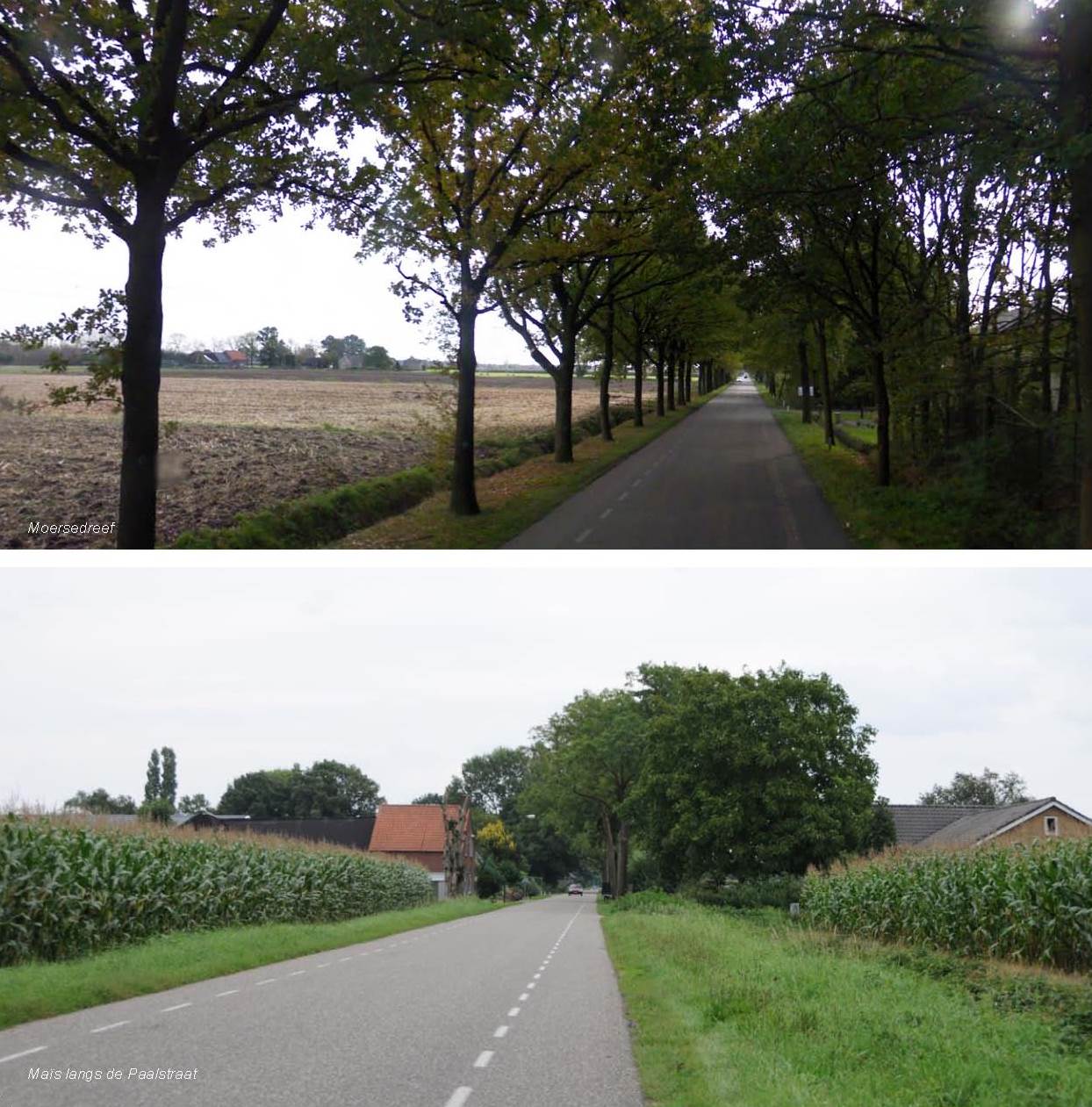 afbeelding "i_NL.IMRO.0809.StructuurvisieWijz-ON01_0032.jpg"