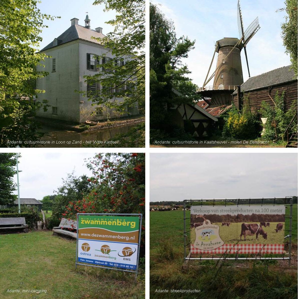 afbeelding "i_NL.IMRO.0809.StructuurvisieWijz-ON01_0060.jpg"