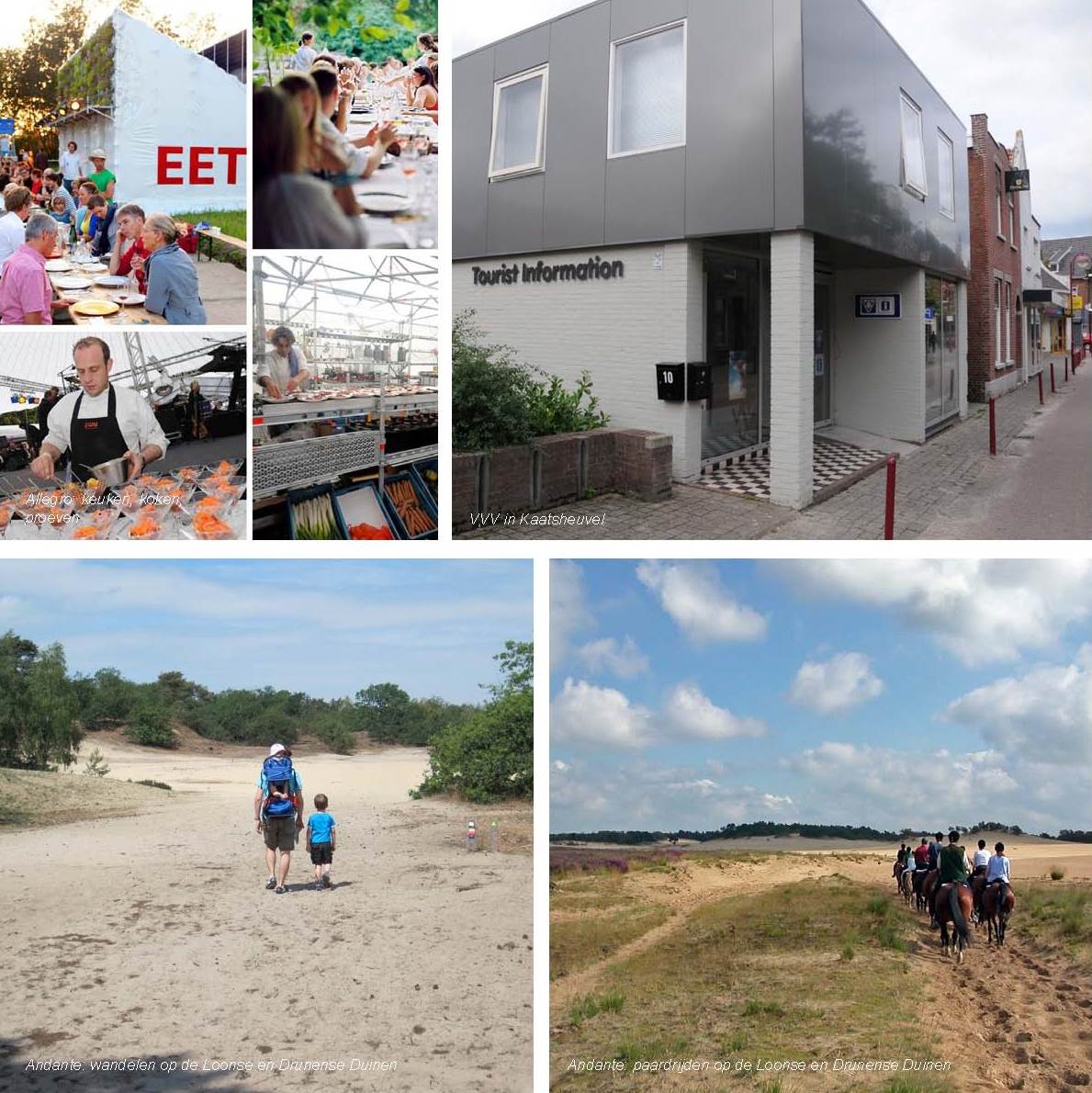 afbeelding "i_NL.IMRO.0809.StructuurvisieWijz-ON01_0062.jpg"