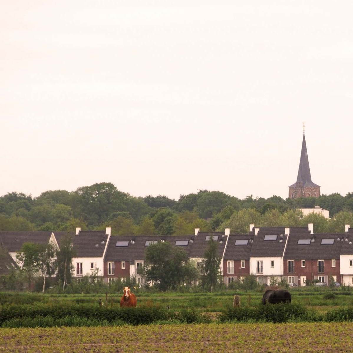 afbeelding "i_NL.IMRO.0809.StructuurvisieWijz-ON01_0088.jpg"