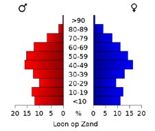 afbeelding "i_NL.IMRO.0809.StructuurvisieWijz-VG01_0021.jpg"