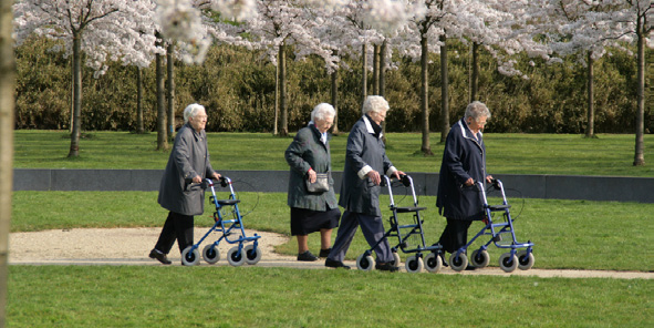 afbeelding "i_NL.IMRO.0809.StructuurvisieWijz-VG01_0022.jpg"