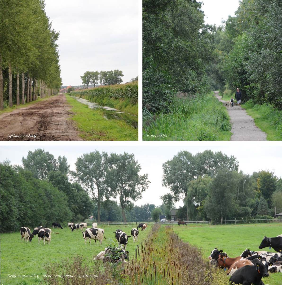 afbeelding "i_NL.IMRO.0809.StructuurvisieWijz-VG01_0033.jpg"