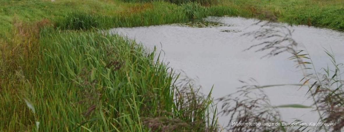 afbeelding "i_NL.IMRO.0809.StructuurvisieWijz-VG01_0055.jpg"