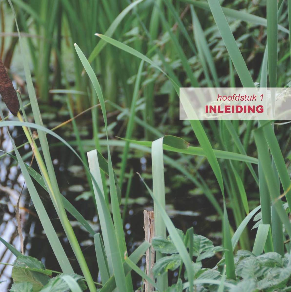 afbeelding "i_NL.IMRO.0809.StructuurvisieWijz-VG01_0089.jpg"