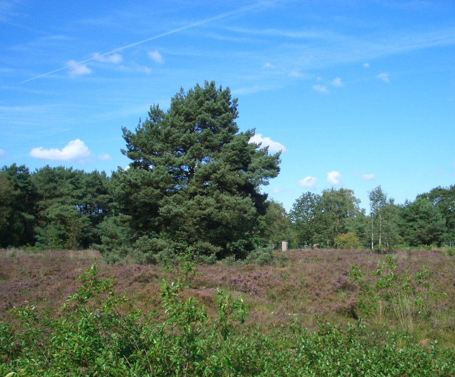 afbeelding "i_NL.IMRO.0847.BP02010023-VS02_0015.png"