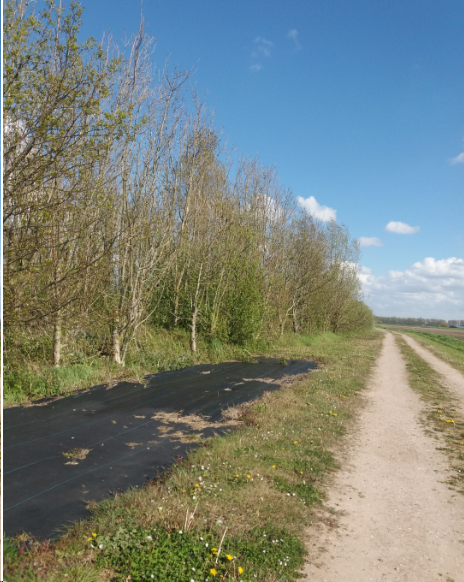 afbeelding "i_NL.IMRO.0851.bgBPuitbschput-o001_0009.png"