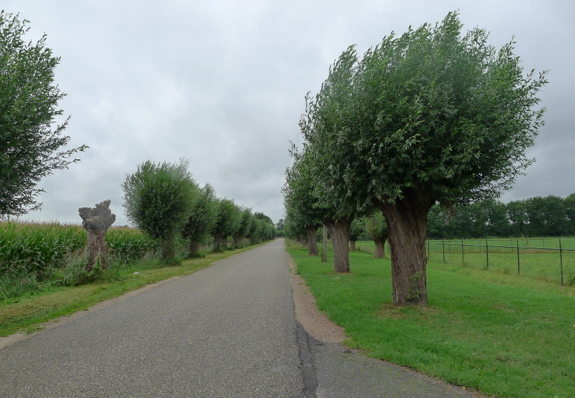 afbeelding "i_NL.IMRO.0856.BPWMeerkensweg8-VA01_0006.jpg"