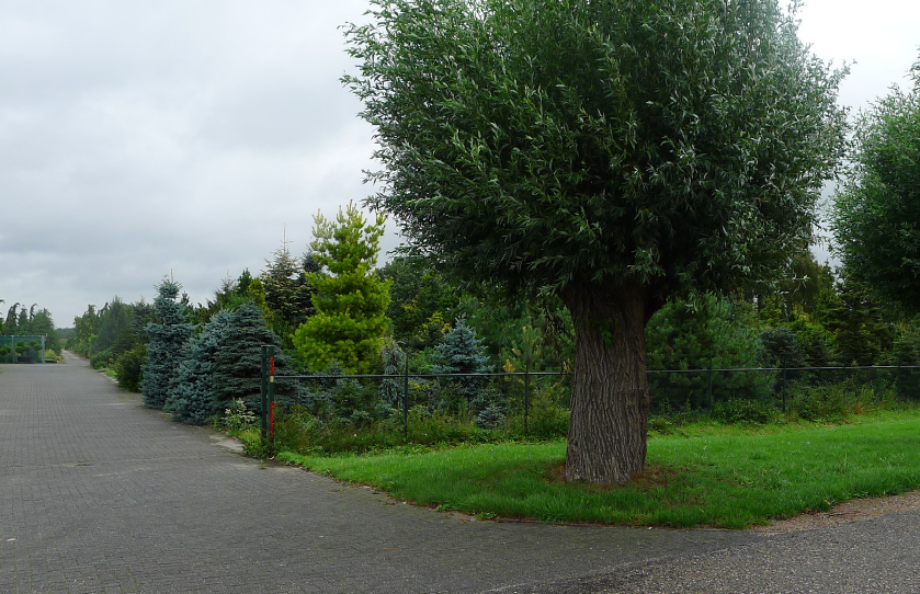 afbeelding "i_NL.IMRO.0856.BPWMeerkensweg8-VA01_0009.jpg"