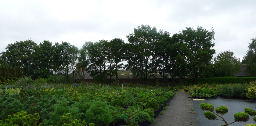 afbeelding "i_NL.IMRO.0856.BPWMeerkensweg8-VA01_0011.jpg"