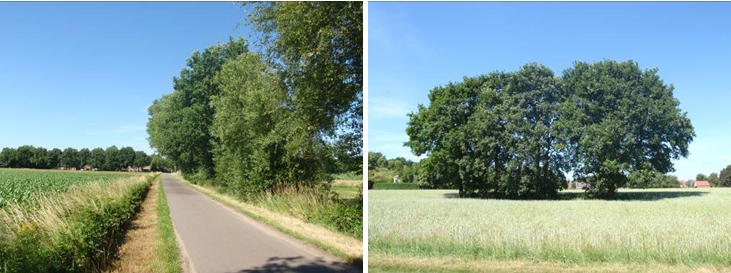 afbeelding "i_NL.IMRO.0858.BPlageheidewonen-VA01_0013.jpg"