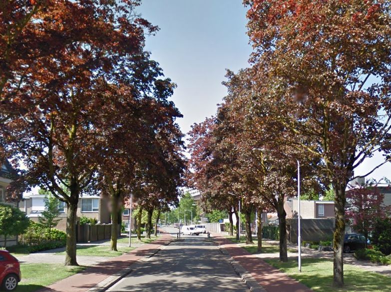 afbeelding "i_NL.IMRO.0861.BP00069-0401_0012.jpg"