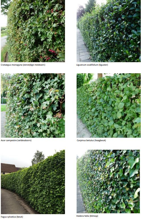 afbeelding "i_NL.IMRO.0861.BP00147-0401_0018.png"