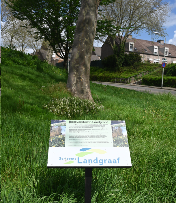 afbeelding "i_NL.IMRO.0882.BPSTEDGEBWAUBACH3-VG01_0009.png"