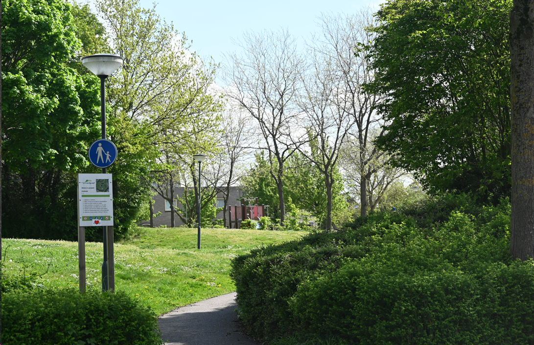afbeelding "i_NL.IMRO.0882.BPSTEDGEBWAUBACH3-VG01_0029.png"