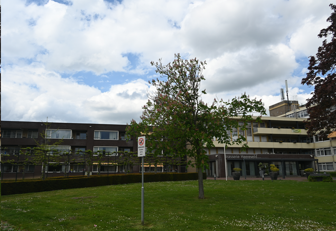 afbeelding "i_NL.IMRO.0882.BPSTEDGEBWAUBACH3-VG01_0040.png"