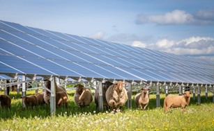 afbeelding "i_NL.IMRO.0893.ST18011ELWMBUI-VA01_0010.png"