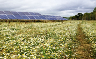 afbeelding "i_NL.IMRO.0893.ST18011ELWMBUI-VA01_0011.png"