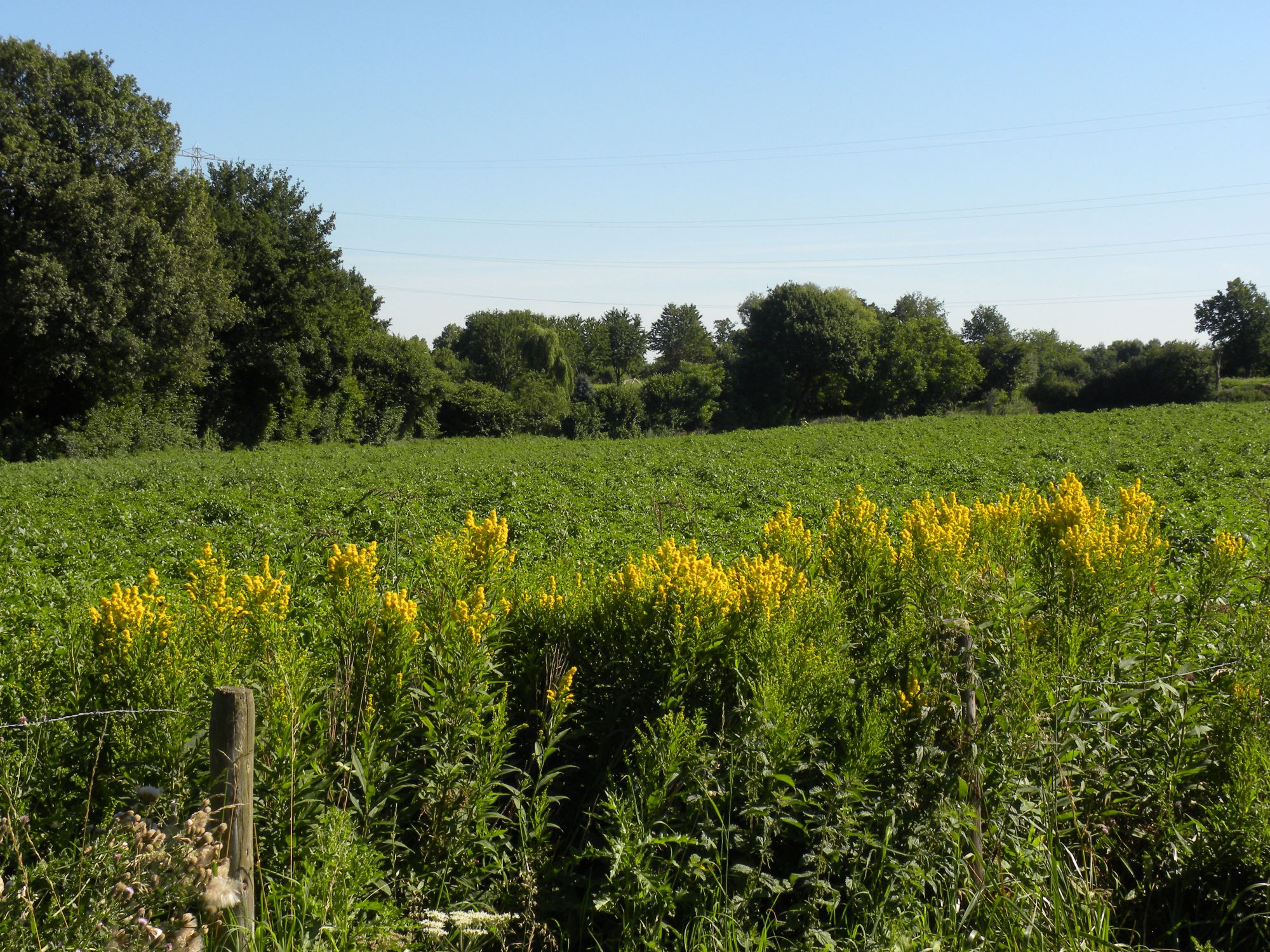 afbeelding "i_NL.IMRO.0917.BP020300W000001-0401_0022.jpg"