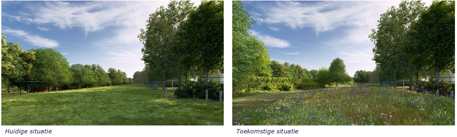 afbeelding "i_NL.IMRO.0971.TAMmultimodalecorr-VA01_0012.png"