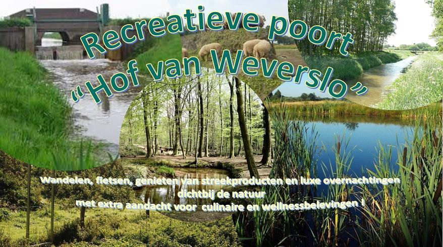 afbeelding "i_NL.IMRO.0984.BP17005-va01_0001.jpg"