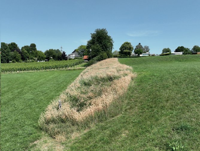afbeelding "i_NL.IMRO.0986.BPlandschapelement-VA01_0004.png"