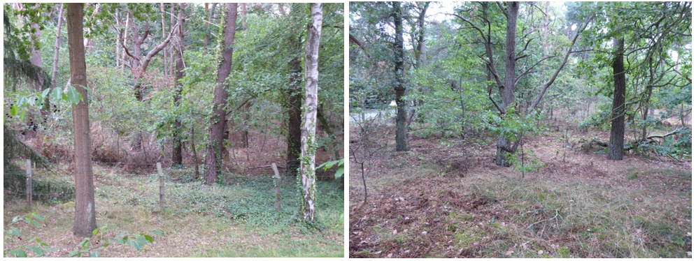 afbeelding "i_NL.IMRO.0988.BPNatuurbegraaf-ON01_0007.png"